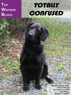 cover image of Totally Confused